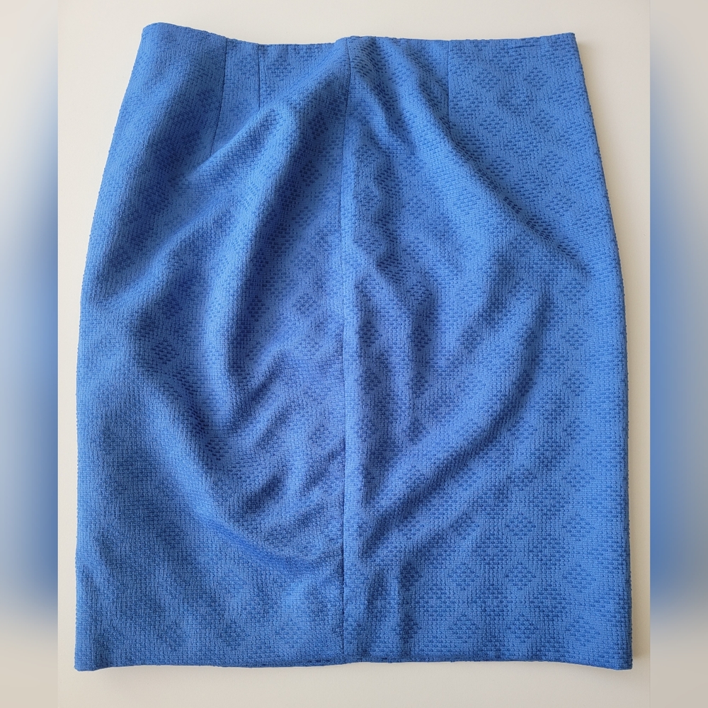 The limited blue Skirt